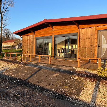 Petit Chalet Au Coeur De La Foret Proche Disney La Houssaye-en-Brie المظهر الخارجي الصورة